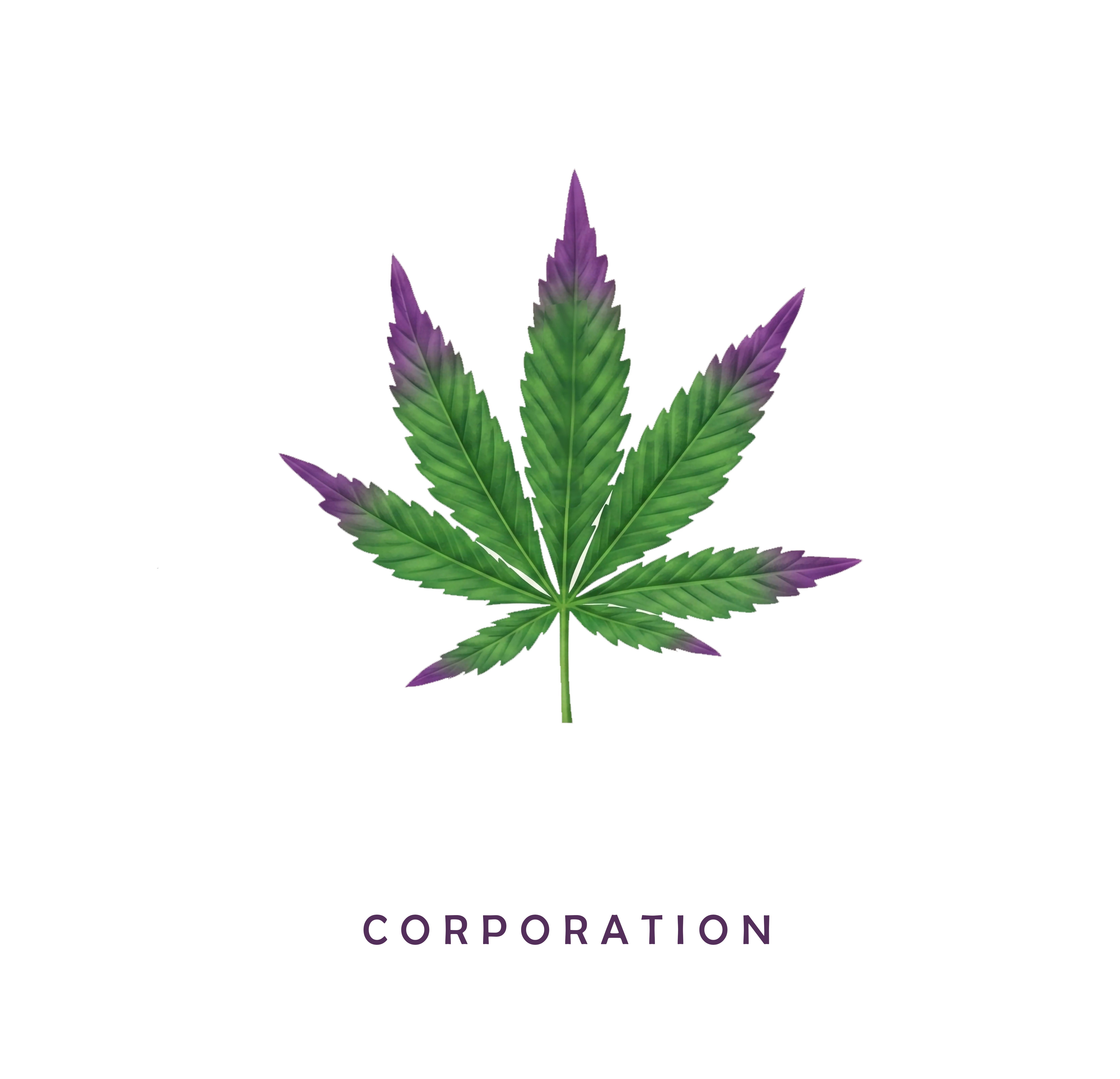Re-Thinking The Leaf